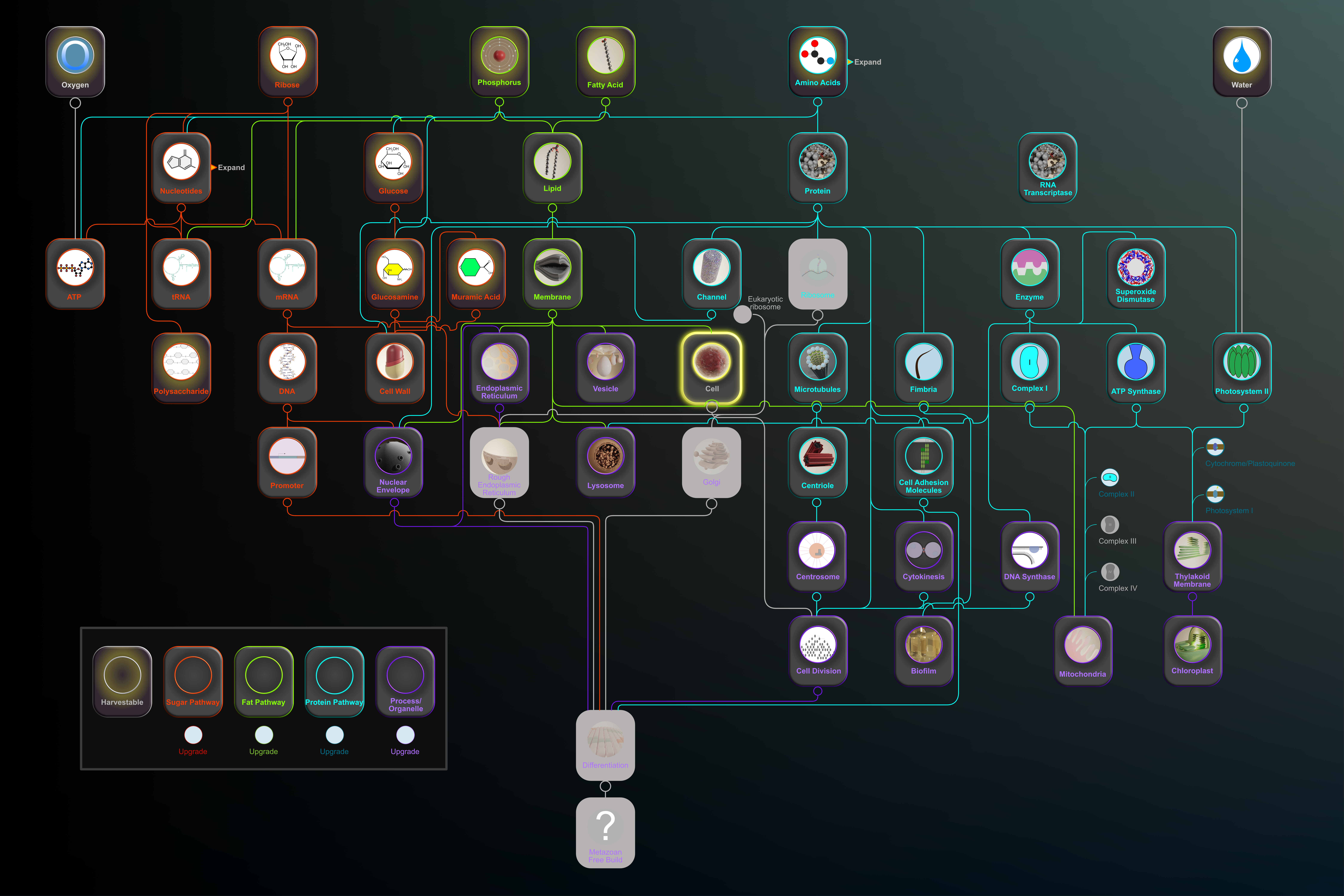 Concept art for showing the tech tree in the game, organized into sugar, protein, and fat branches, all of which converge into the process/organelle pathway.
